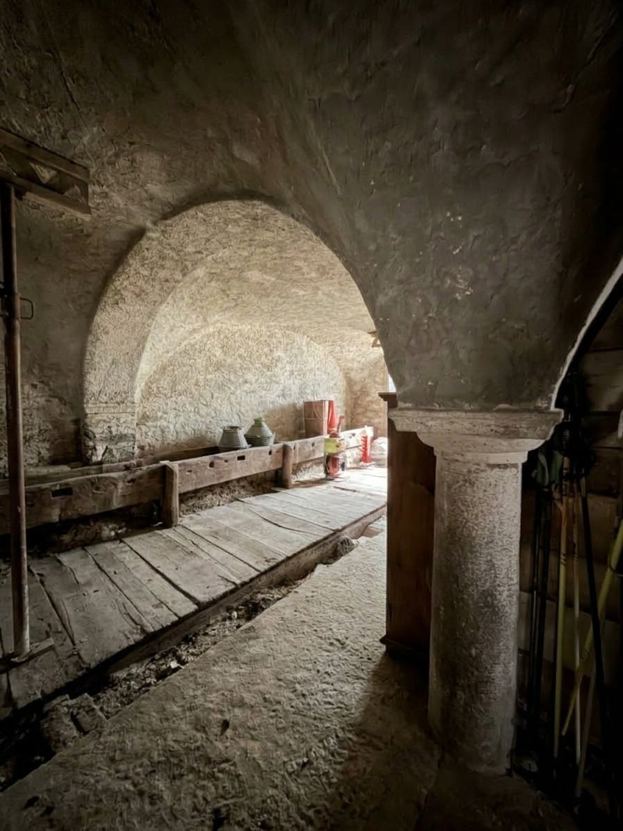 Antica stalla voltata con colonna monolitica per progetto SPA privata